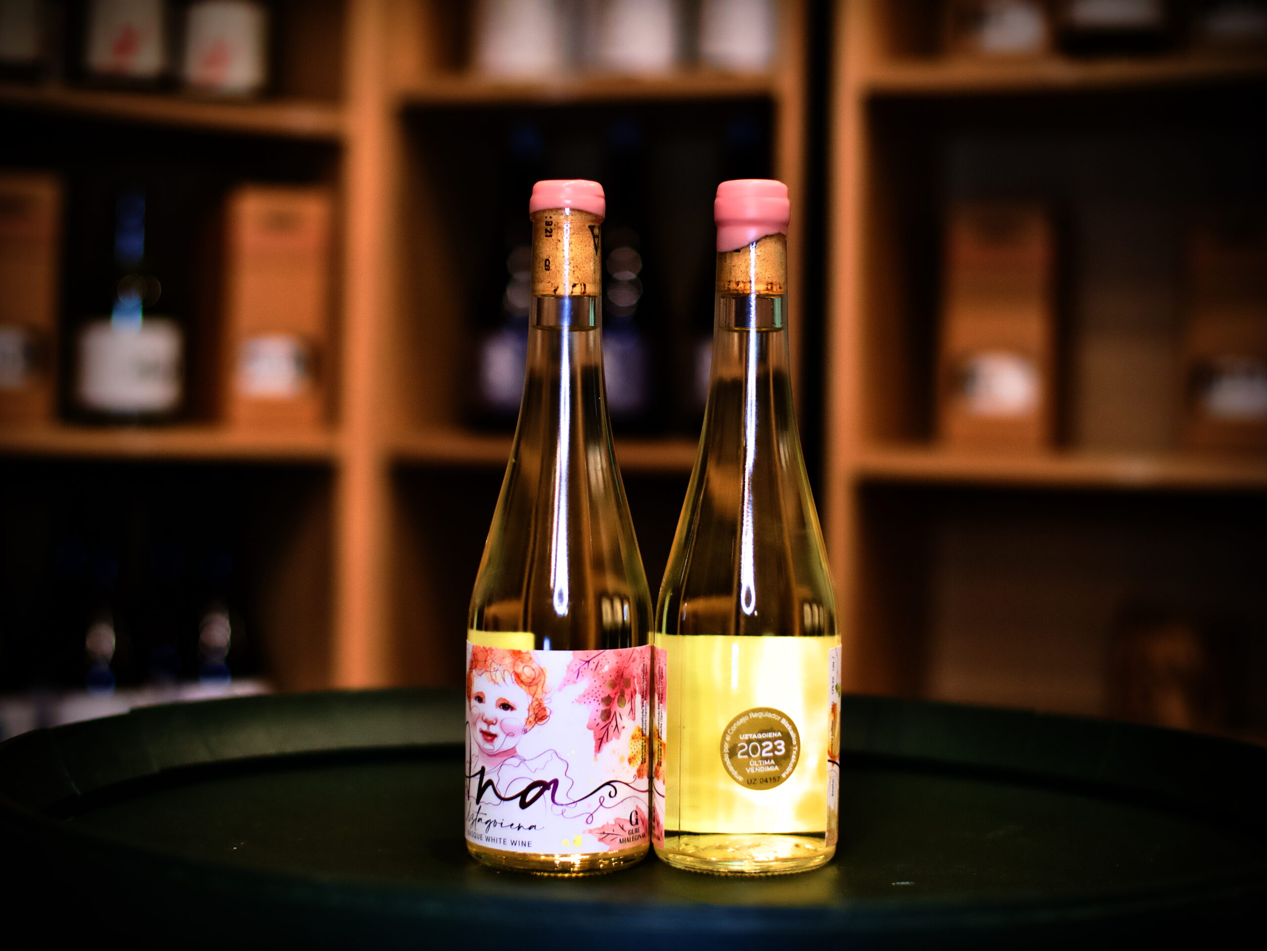 P1003531 Gure Ahaleginak Ana 2023