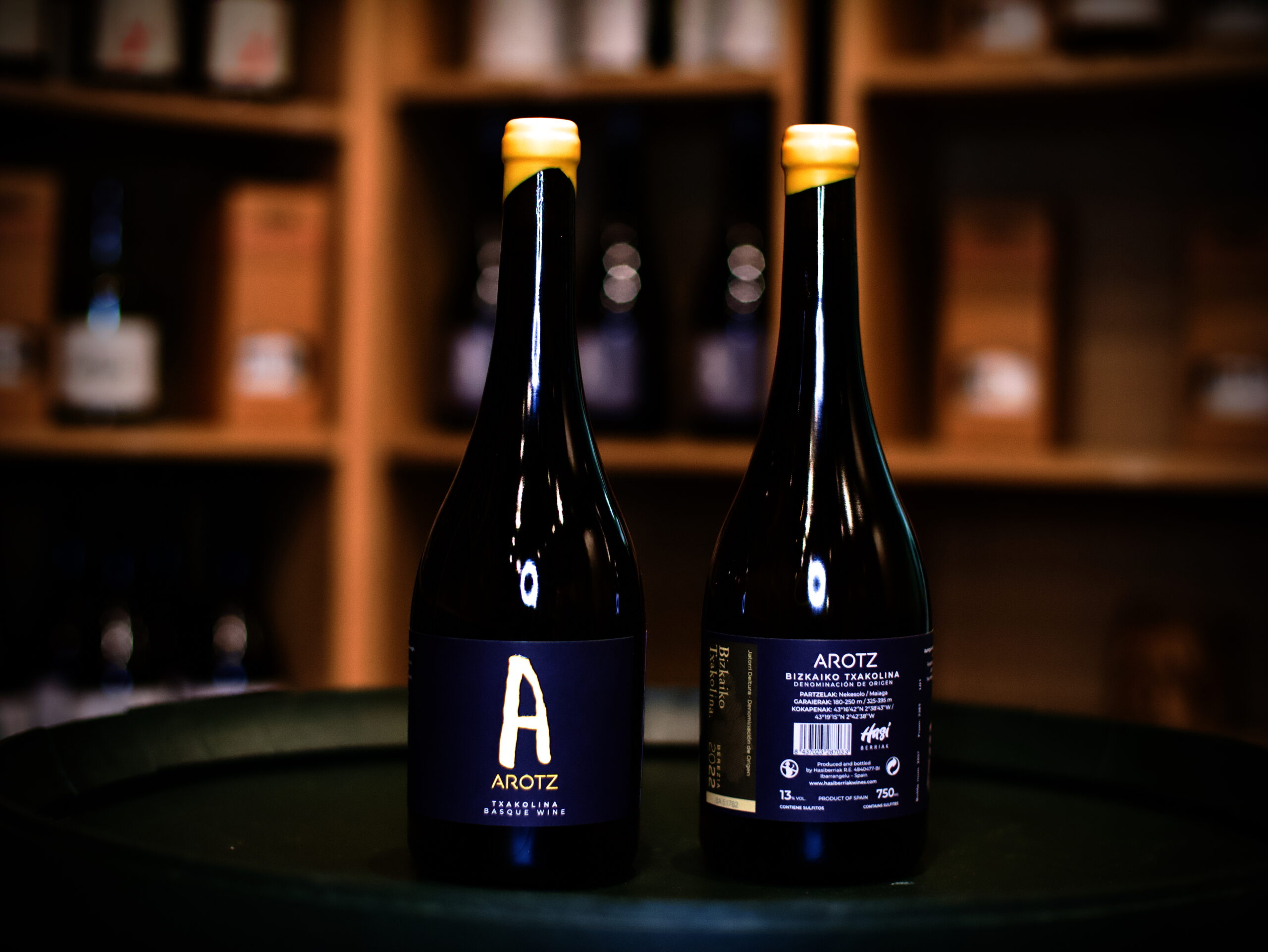 P1003541 Hasi Berriak Arotz 2022