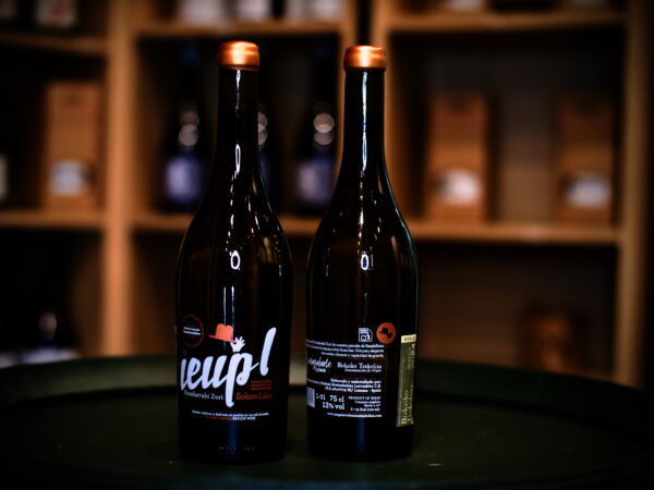 Magalarte Ieup barrica y Lías