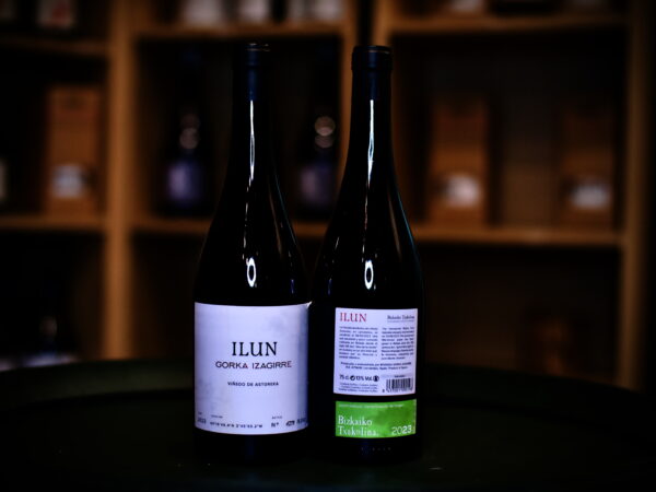 Gorka Izaguirre Ilun 2023