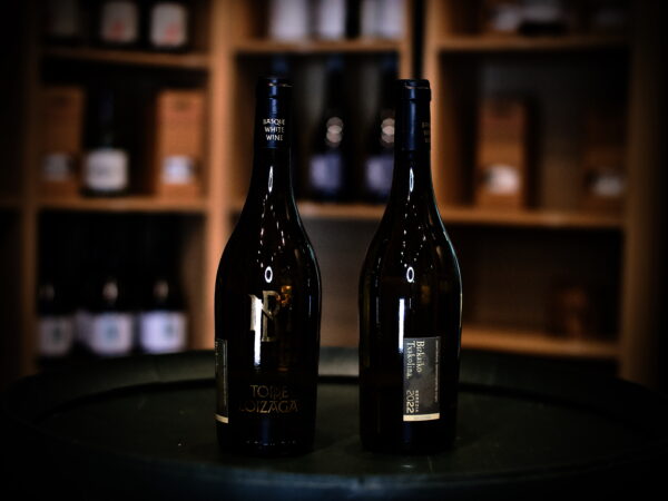 Torre Loizaga MB Privat