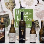 Comprar Bizkaiko Txakolina exclusivos