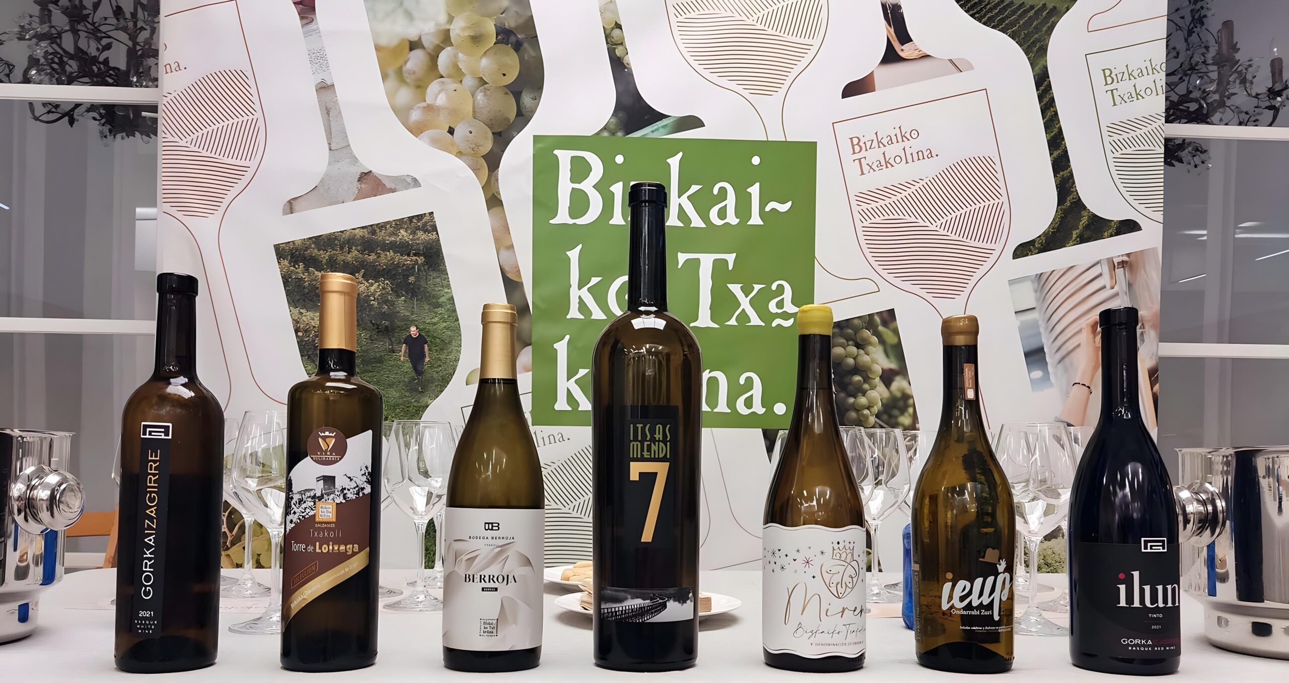 Comprar Bizkaiko Txakolina exclusivos
