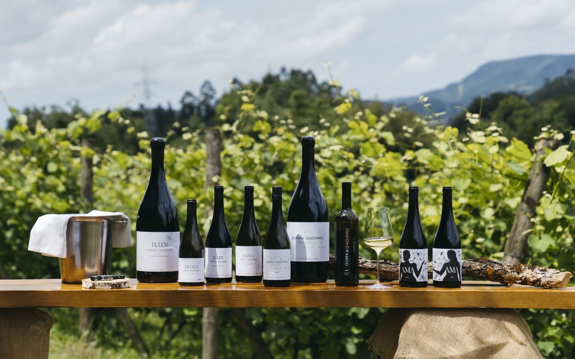 Gorka Izagirre Txakoli Bodega Bizkaiko Txakolina